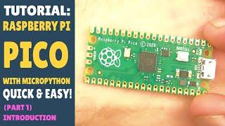 Raspberry Pi Pico - MicroPython - Simple Tutorials - Lesson 1 About your Pi