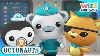 @Octonauts - Creature Reports With Octonauts  Compilation  Wizz Cartoons