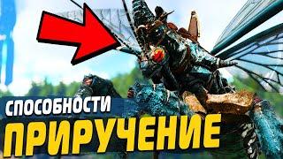 РИНИОГНАТА Приручение и Способности АРК  Rhyniognatha ОБЗОР Ark Survival Evolved