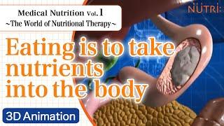 Medical Nutrition The World of Nutritional Therapy Vol.1 Eating is to take nutrients into the body