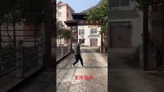 本日の劈掛拳OldMan 孫がいて60代でこの動き #中国武術 #kungfu