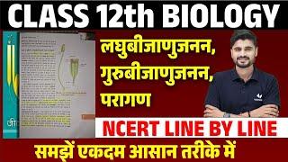 जीव विज्ञान लघुबीजाणुजनन  गुरुबीजाणुजनन एवं परागण  Class 12 Biology Pollination NCERT