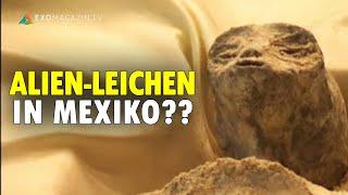 Alien-Leichen im mexikanischen Parlament?  ERSTKONTAKT Spezial