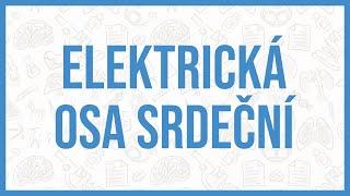 ELEKTRICKÁ OSA SRDEČNÍ ZA 5 MINUT - EKG