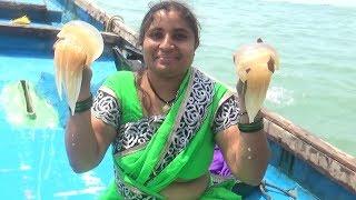 Village Foods- Amazing Live Jelly Fish Catching In Ocean And South Indian Style Cooking My Village