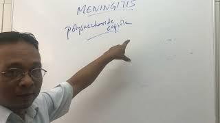 Meningitis causes and pathophysiology