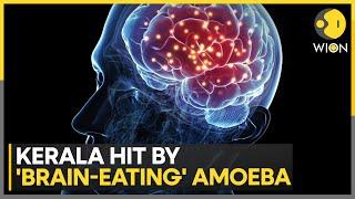 India Brain-eating Amoeba kills 3 in Kerala found in waters in warm climates  India News  WION