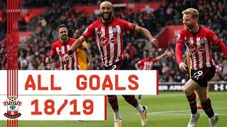 GOALS GOALS GOALS  Nathan Redmonds 201819 Southampton strikes