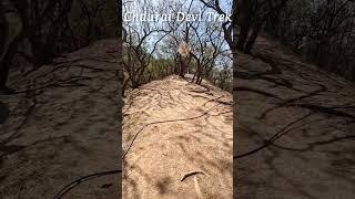 Chaurai Devi Trek #shorts #trending #shortvideo #youtubeshorts #viral