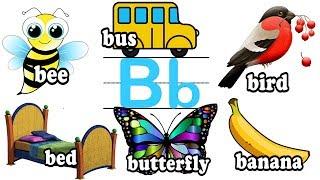 Letter “B”  B is for Bee Bus Baby Bear  ABC 英文字母B