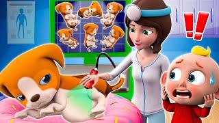 My Pet Got Pregnant I Got a Pet Song - Funny Songs & Nursery Rhymes - PIB Little Song