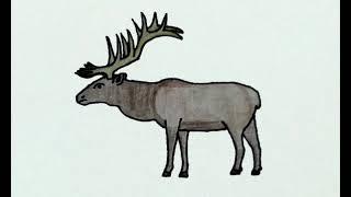 Merriams elk Sound effects