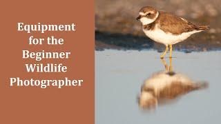 Equipment for the Beginner Wildlife Photographer