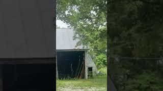 random hammer flys over my garage warningINTENSE