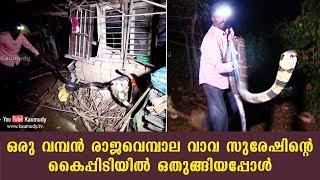 A huge King Cobra surrenders to Vava Suresh  Kaumudy TV