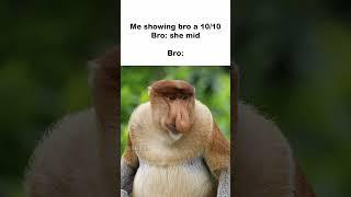 bro