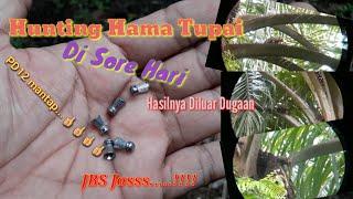 Hunting Hama Tupai Di Sore Hari Hasilnya Diluar Dugaan. PD12 Mantap. JBS Joss......