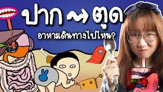 จากปากถึงตูดอาหารผ่านไปไหนบ้าง?  Point of View x LB81