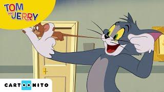 TOM VE JERRY ŞOV  Tom ve Jerry Soyuldu  @CartoonitoTurkiye