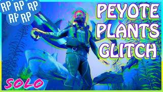 Peyote Plants RP Glitch GTA Online - Easy & Solo RP Glitch