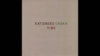 Extended Organ - Vibe 2019 Experimental & Free Improvisation FULL ALBUM LAFMS