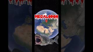 Megalodon in google earth #shorts