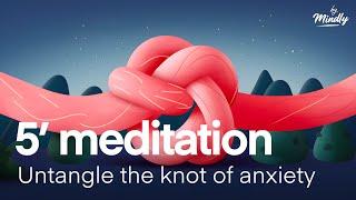 Fast anti-anxiety relief to calm down.  5-minute meditation