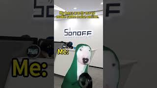 My boss want me to make some noise online ：SONOFF Smart Home #sonoff #smarthome
