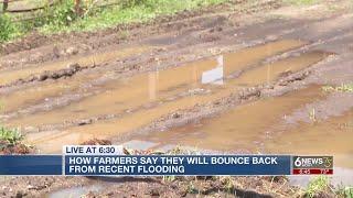 Omaha metro farmers working to bounce back from recent flooding