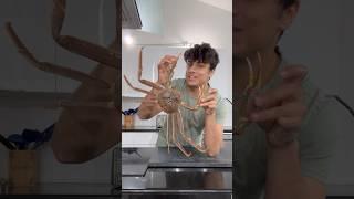 Cooking MASSIVE Snow Crab