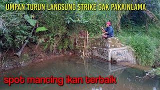 Mancing Ikan Wader Di Sungai Kecil Spot Mancing Ikan Terbaik