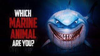 Which Marine Animal Are You?