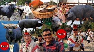 Carrying so many Mithuns Pigs & Fish to The Brides House  Nyishi Tribe Wedding Arunachal Pradesh