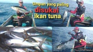 PESTA STRIKE TUNA SIRIP KUNING PAKAI UMPAN INI umpan amis mancing tonda umpan antemanandeman