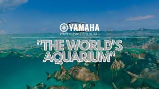 New from Yamaha The World’s Aquarium