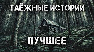 Таёжные Истории  Лучшее  Мистика Истории на ночь