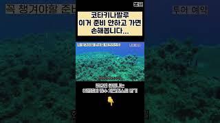 코타키나발루 이거 준비 안 하고 가면 큰일납니다... ｜코타키나발루 준비 체크리스트 준비물 꿀템 #해외여행 #해외여행준비 #해외여행준비물