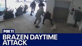 Brazen West Hollywood attempted robbery caught on camera victim fights off 3 attackers