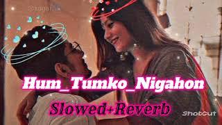 Hum_Tumko_Nigahon mein  slowed+Reverb Salman Khan Hind songs  lofi song