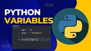Learn Python Variables the Easy Way  Beginners Guide