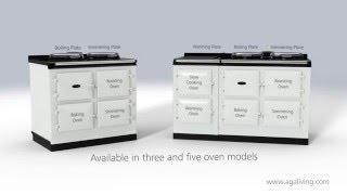 How an AGA Dual Control works