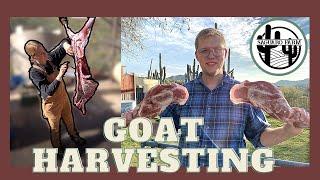 Goat Meat Harvesting In Depth  Processing and Butchering  Educational Workshop w Rockin AR Goats