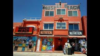 A Tour of Venice Beach and Muscle Beach