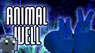 Its Time for Some Secret Hunting in ANIMAL WELL