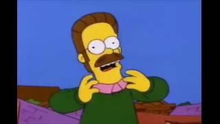 Ned Flanders - I fink U freeky