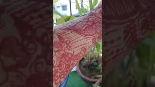 mehndi designs bridal full hand