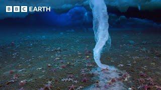 The Finger of Death that Freezes Everything it Touches  Earths Great Seasons  BBC Earth