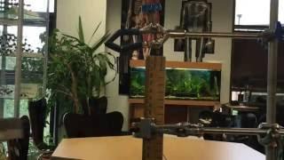 9-1 GCSE Physics Required Practical 6 - Extension of a Spring