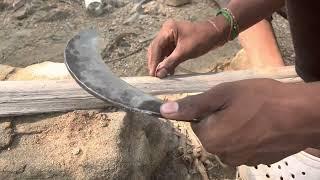 Coconut#harvest#knife#sharp#agri#work