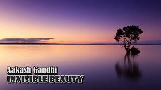 Aakash Gandhi - Invisible Beauty